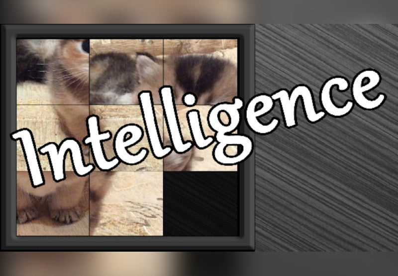 Intelligence Steam CD Key