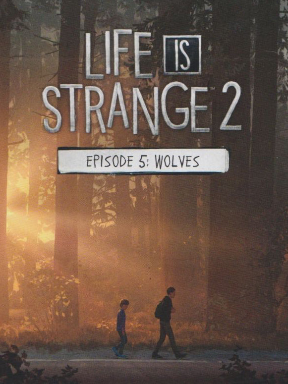 Life is Strange 2 - Episode 5 EU Steam CD Key