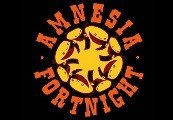 Amnesia Fortnight 2012 Steam CD Key (with Prototypes and Videos)