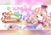 Atelier Meruru ~The Apprentice of Arland~ DX PC Steam Account