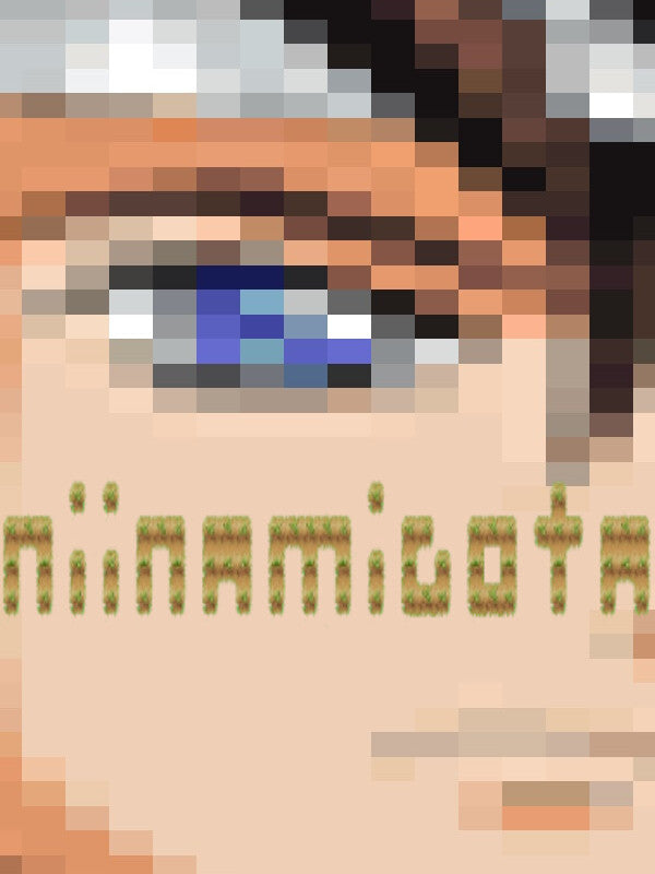 Niinamigota Steam CD Key