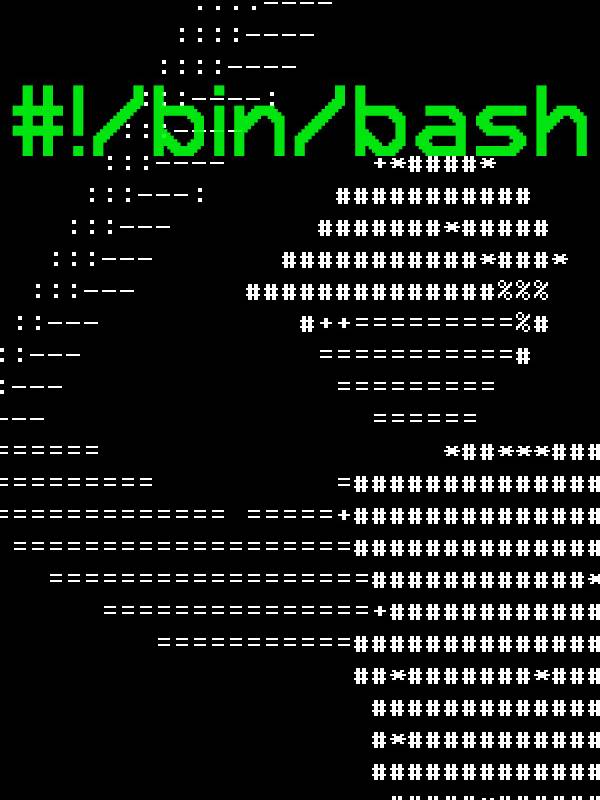 #!/bin/bash PC Steam CD Key