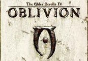 The Elder Scrolls IV: Oblivion GOTY Edition RU/CIS PC Steam CD Key