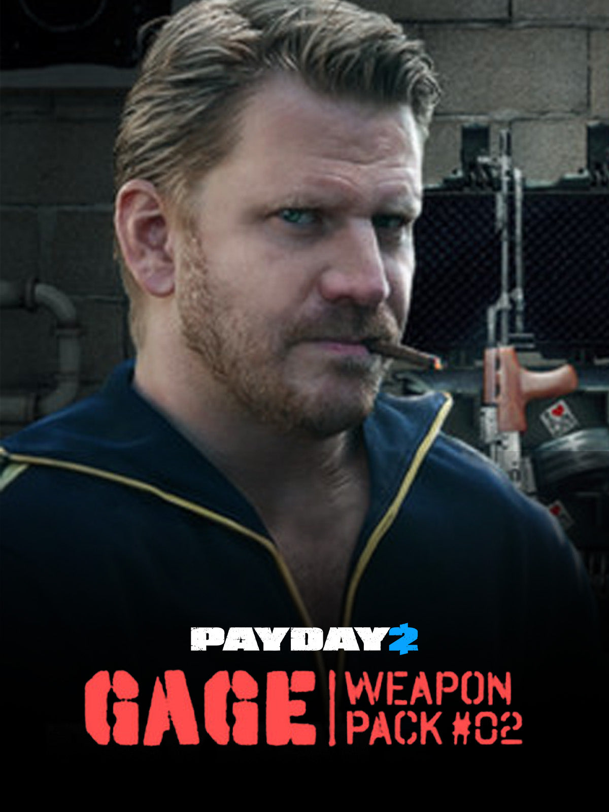 PAYDAY 2 - Gage Weapon Pack 2 Steam Gift