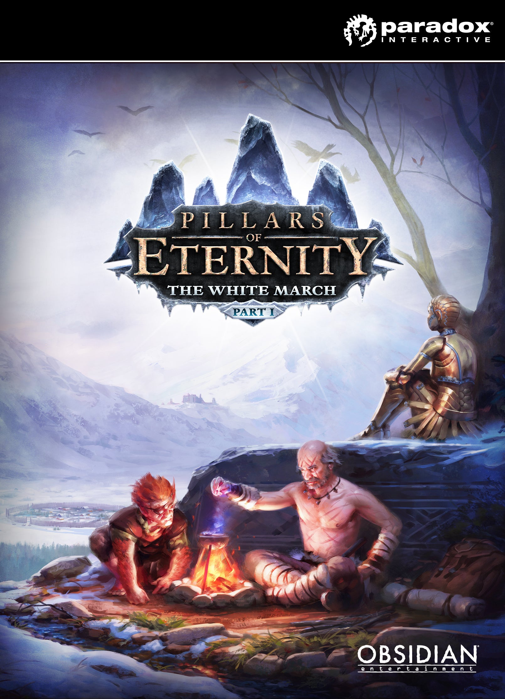Pillars of Eternity - The White March Part I DLC EU Steam CD Key