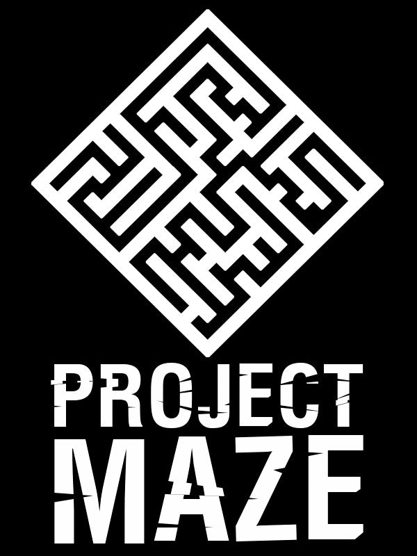 PROJECT MAZE Steam CD Key