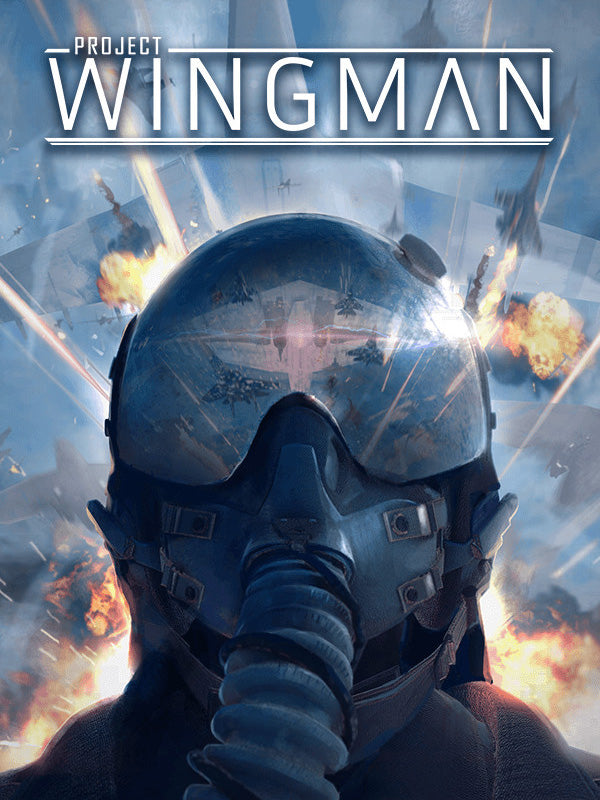 Project Wingman Steam Altergift