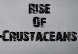 Rise of Crustaceans Steam CD Key