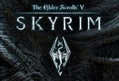 The Elder Scrolls V: Skyrim RU/CIS PC Steam CD Key
