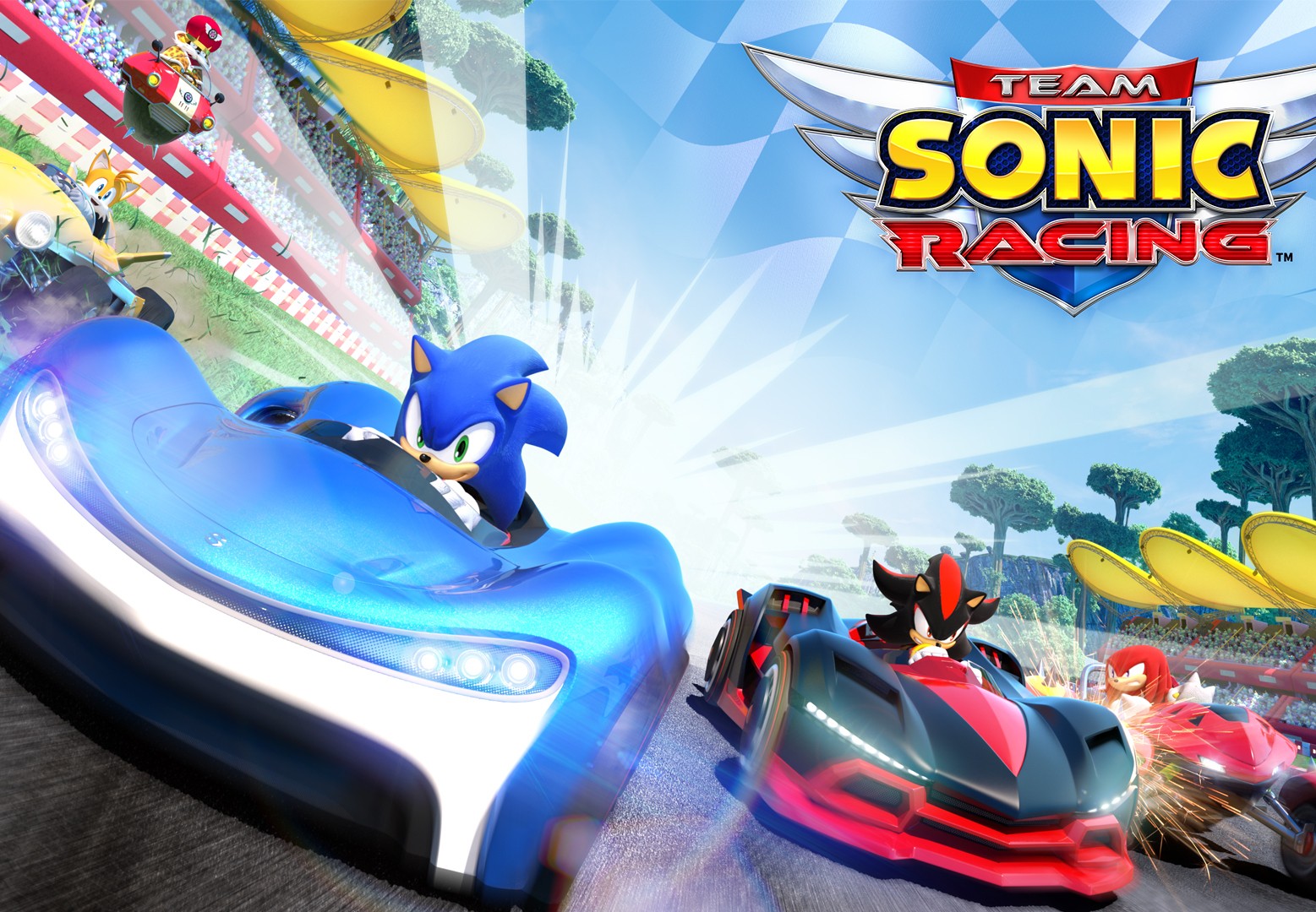 Team Sonic Racing AR XBOX One / Xbox Series X|S CD Key