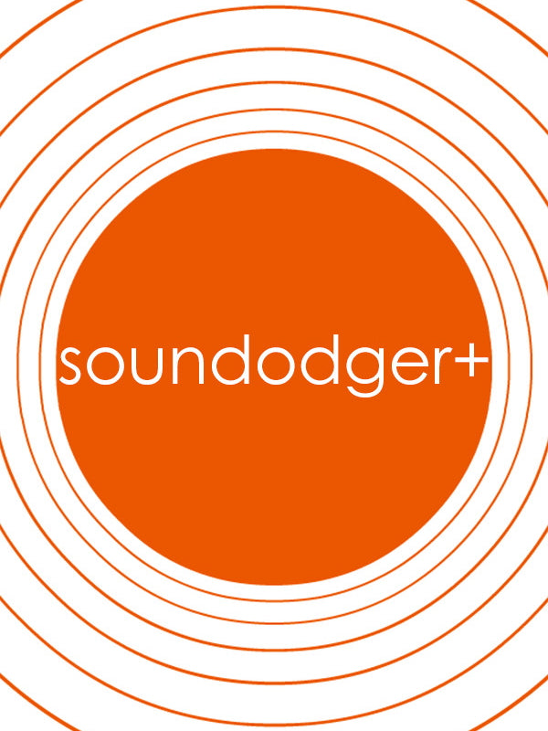 Soundodger+ and Soundtrack Steam CD Key