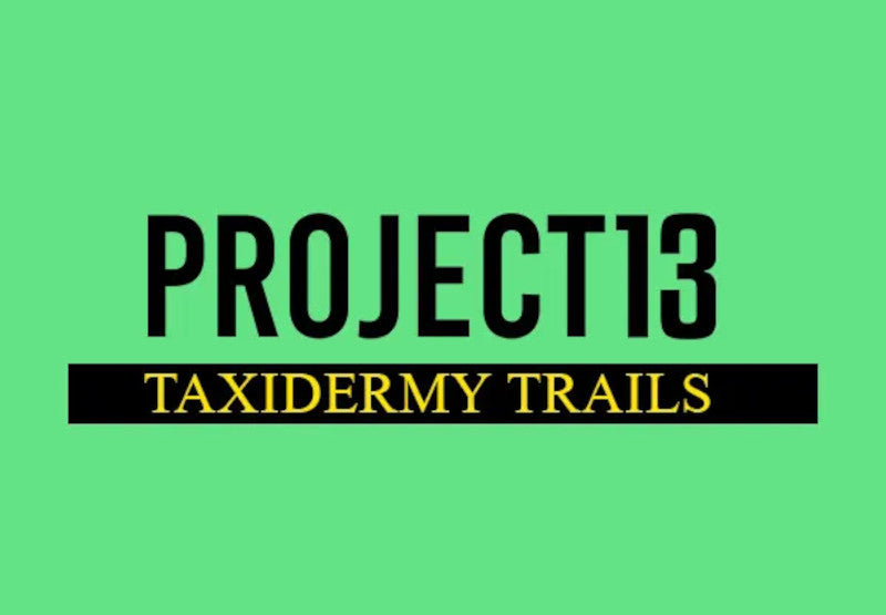 Project 13: Taxidermy Trails PC Steam CD Key