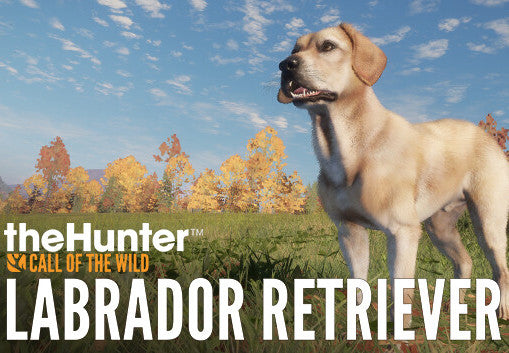 theHunter: Call of the Wild - Labrador Retriever DLC Steam CD Key