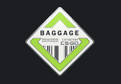 CS:GO - Series 2 - Baggage Collectible Pin