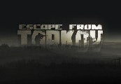 Escape from Tarkov: Arena PC Epic Games Account