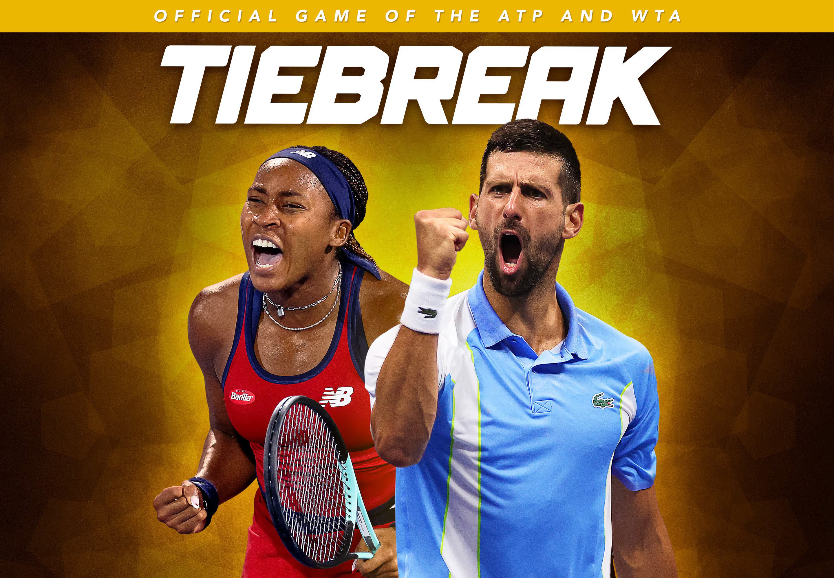 TIEBREAK: Official game of the ATP and WTA PC Steam CD Key