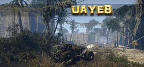 UAYEB Steam CD Key