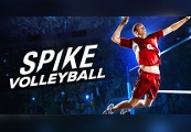 Spike Volleyball PC Steam Account