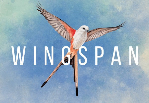 Wingspan AR XBOX One CD Key