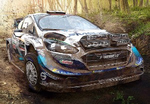 WRC 9 FIA World Rally Championship ASIA PC Steam CD Key