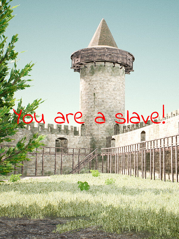 You Are A Slave! Steam CD Key